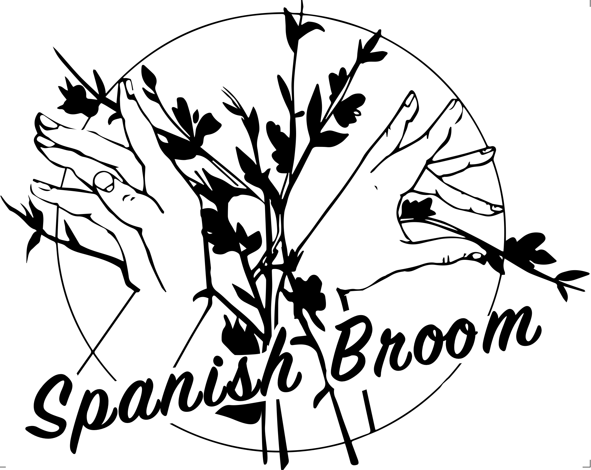 Spanish Broom Logo